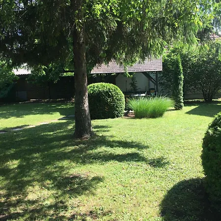 In - Balaton 18816 別荘 *