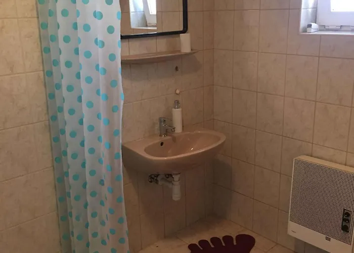 In - Balaton 18816 גיינסדיאס